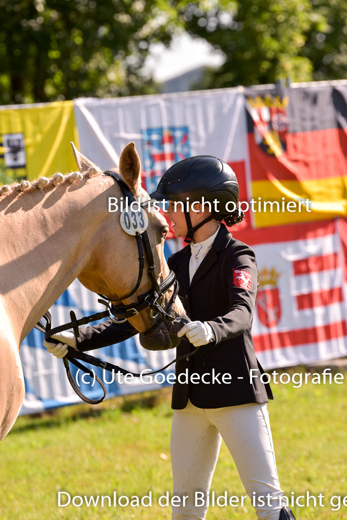 Goldene Schärpe Ponys in Hohenberg Krusemark 2024 | 14072024 Vormustern_207