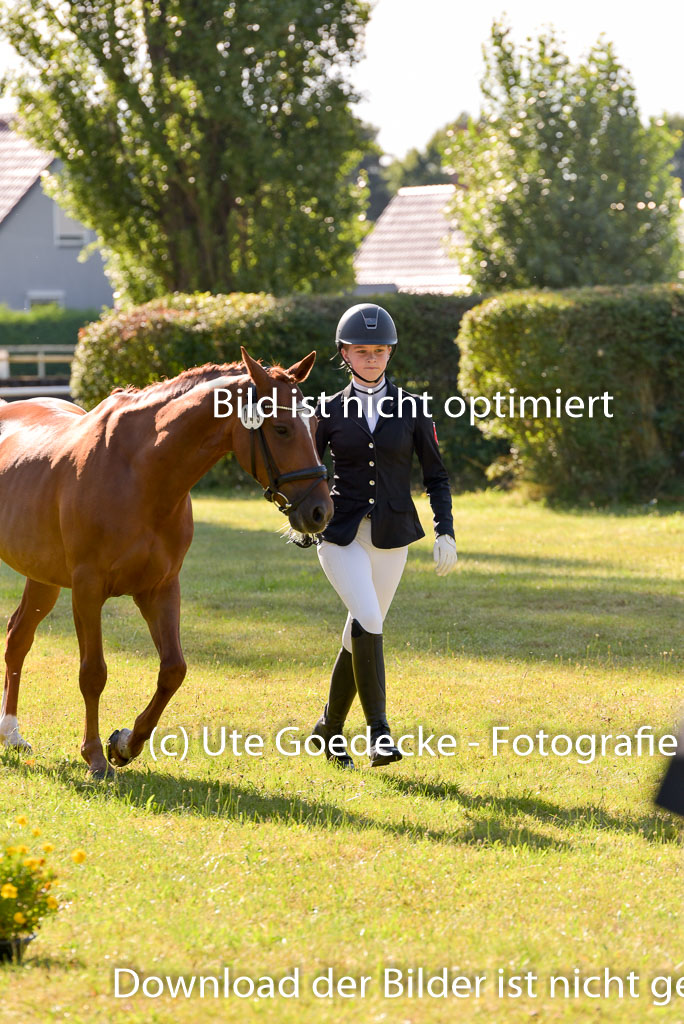 Goldene Schärpe Ponys in Hohenberg Krusemark 2024 | 14072024 Vormustern_208