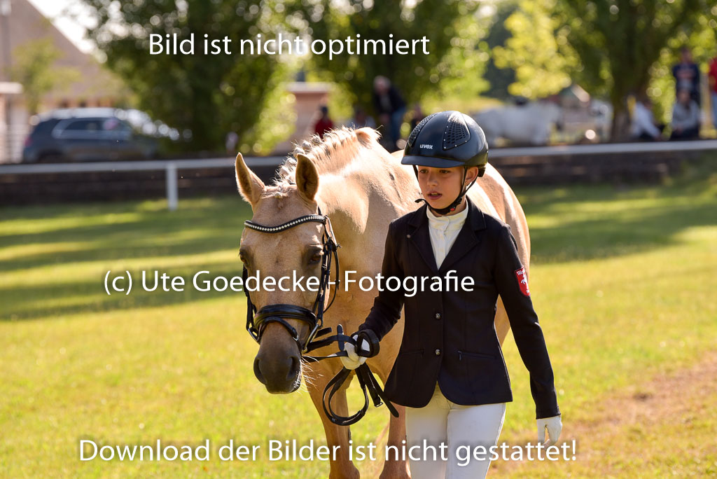 Goldene Schärpe Ponys in Hohenberg Krusemark 2024 | 14072024 Vormustern_210