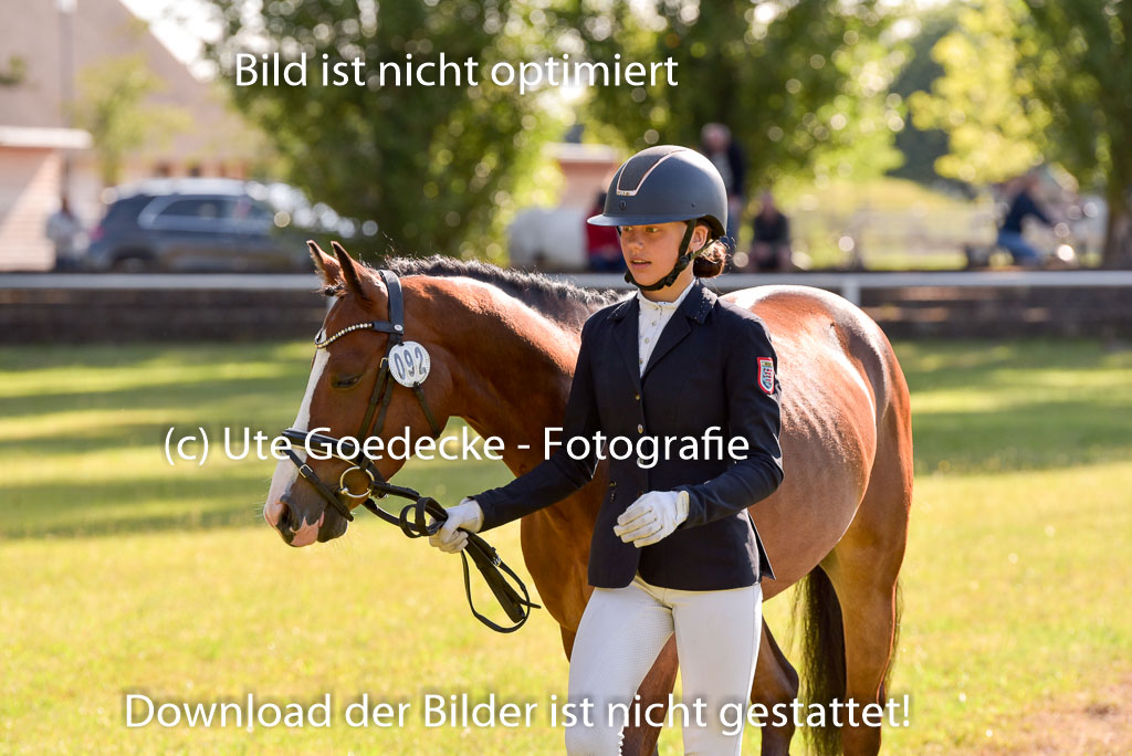 Goldene Schärpe Ponys in Hohenberg Krusemark 2024 | 14072024 Vormustern_215