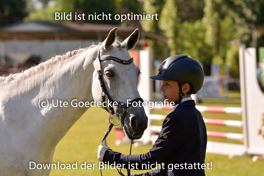 Goldene Schärpe Ponys in Hohenberg Krusemark 2024 | 14072024 Vormustern_217