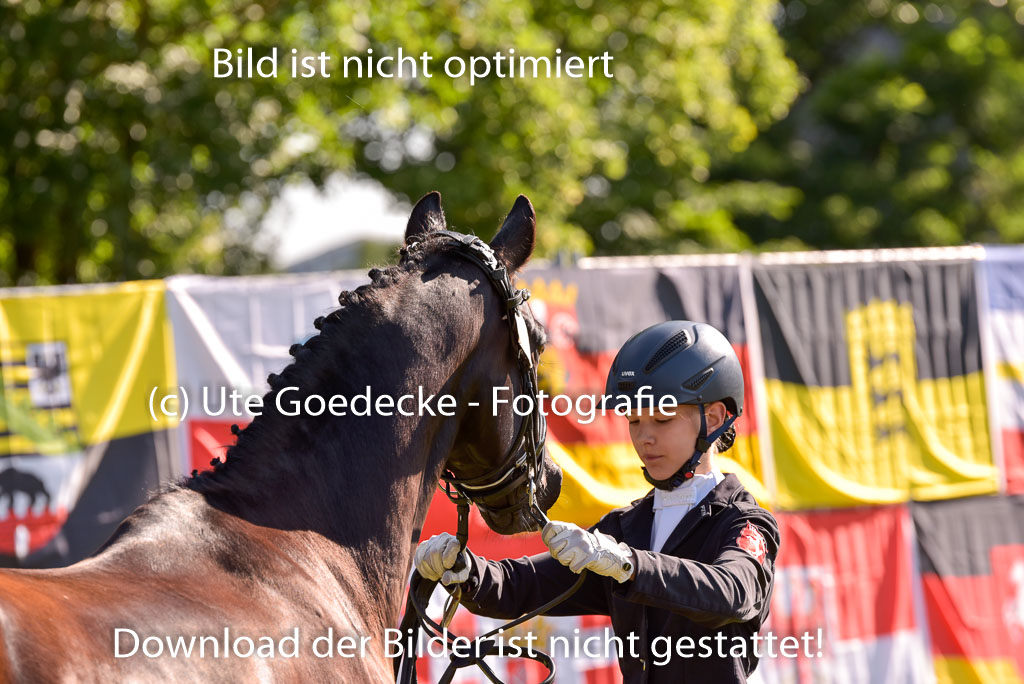 Goldene Schärpe Ponys in Hohenberg Krusemark 2024 | 14072024 Vormustern_220