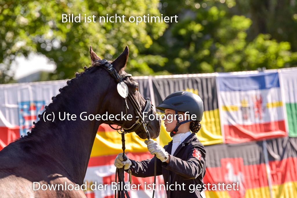 Goldene Schärpe Ponys in Hohenberg Krusemark 2024 | 14072024 Vormustern_221