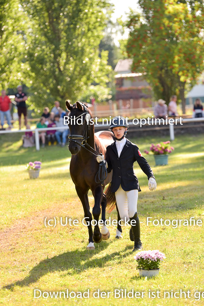 Goldene Schärpe Ponys in Hohenberg Krusemark 2024 | 14072024 Vormustern_225