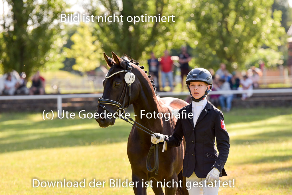Goldene Schärpe Ponys in Hohenberg Krusemark 2024 | 14072024 Vormustern_226