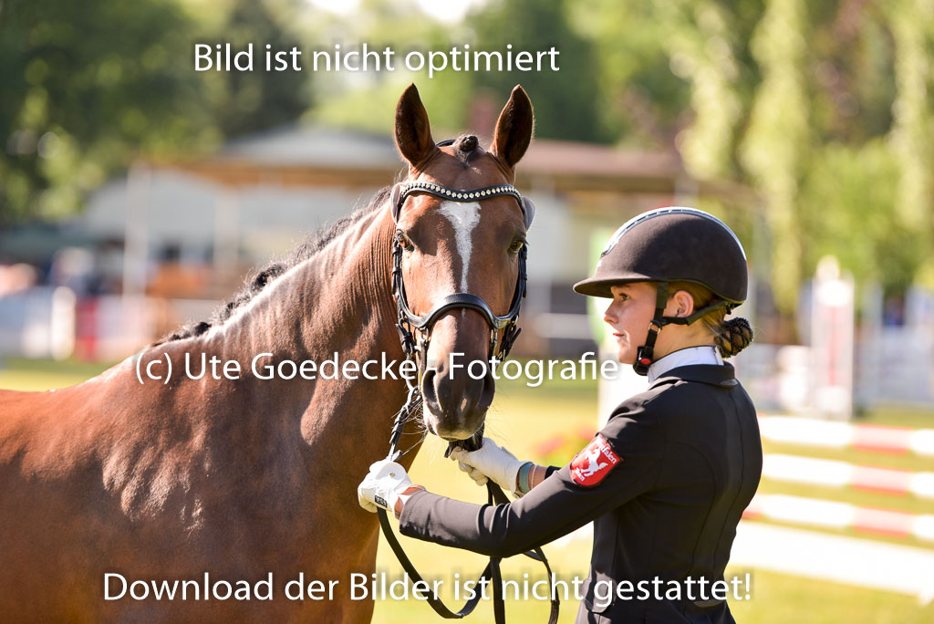 Goldene Schärpe Ponys in Hohenberg Krusemark 2024 | 14072024 Vormustern_229