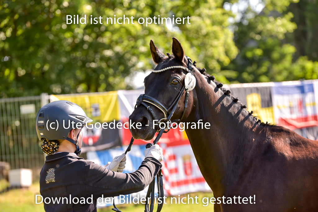Goldene Schärpe Ponys in Hohenberg Krusemark 2024 | 14072024 Vormustern_230