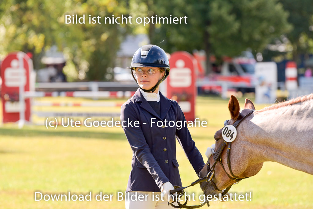 Goldene Schärpe Ponys in Hohenberg Krusemark 2024 | 14072024 Vormustern_233