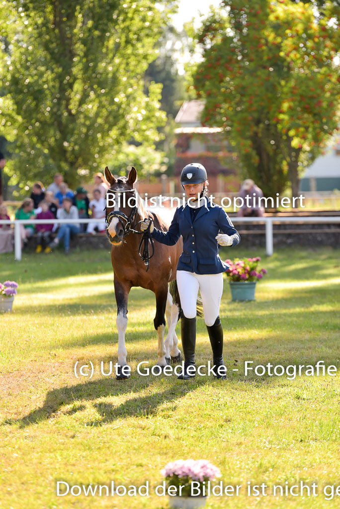 Goldene Schärpe Ponys in Hohenberg Krusemark 2024 | 14072024 Vormustern_236
