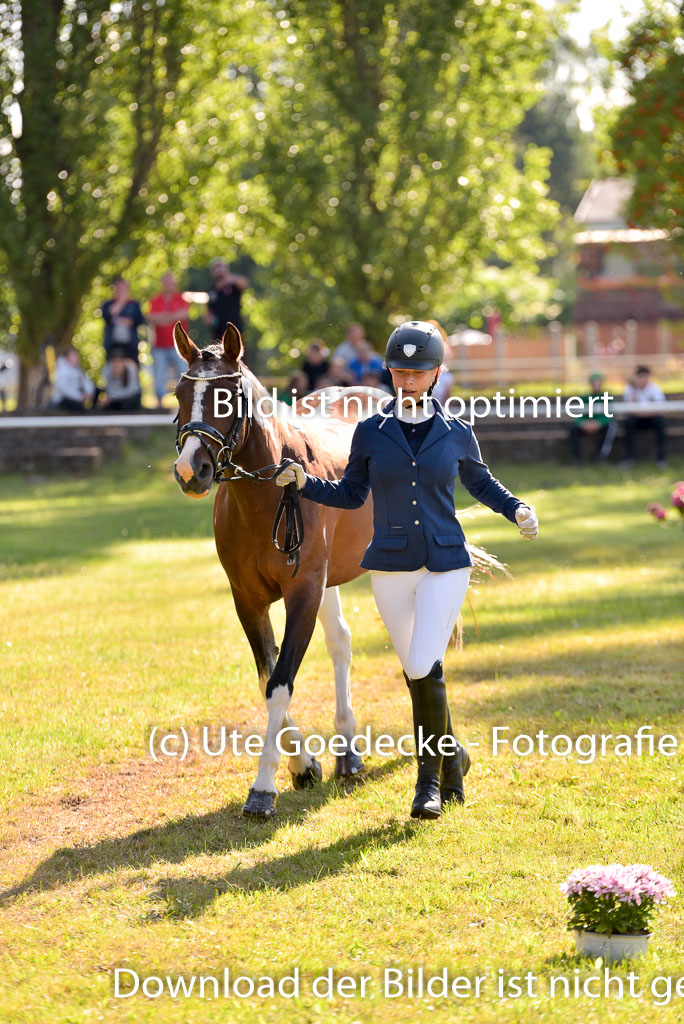 Goldene Schärpe Ponys in Hohenberg Krusemark 2024 | 14072024 Vormustern_237