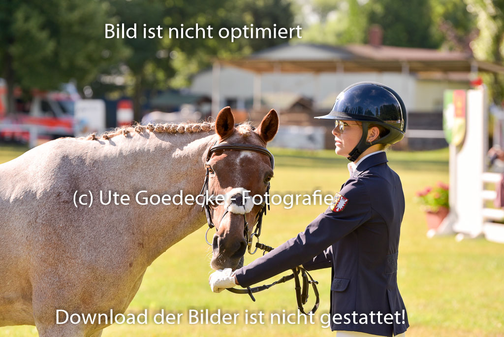 Goldene Schärpe Ponys in Hohenberg Krusemark 2024 | 14072024 Vormustern_238