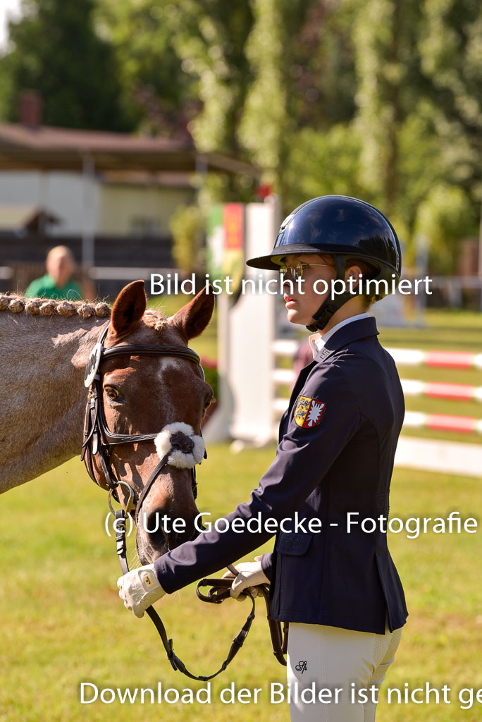 Goldene Schärpe Ponys in Hohenberg Krusemark 2024 | 14072024 Vormustern_239