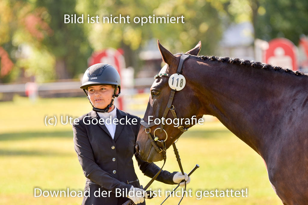 Goldene Schärpe Ponys in Hohenberg Krusemark 2024 | 14072024 Vormustern_241