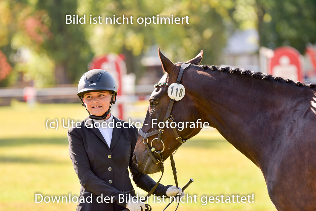 Goldene Schärpe Ponys in Hohenberg Krusemark 2024 | 14072024 Vormustern_242