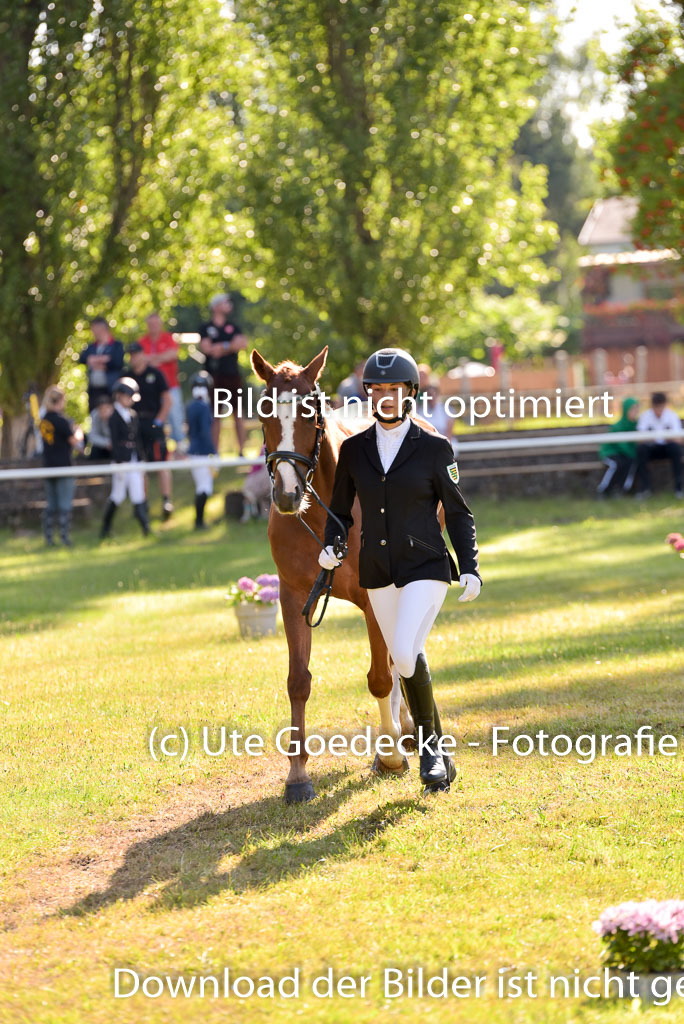 Goldene Schärpe Ponys in Hohenberg Krusemark 2024 | 14072024 Vormustern_243