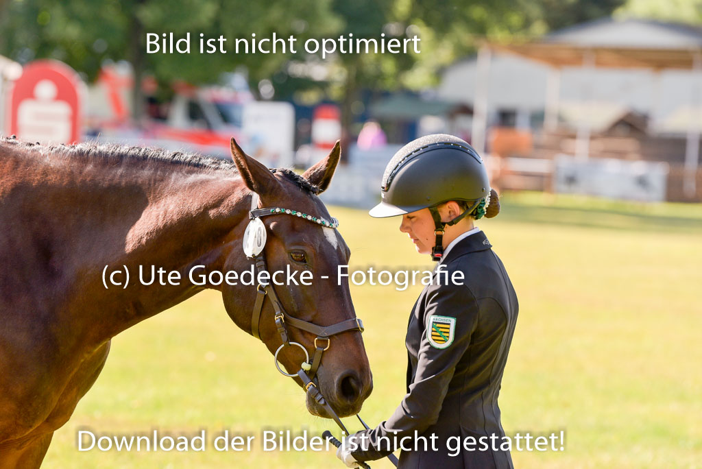 Goldene Schärpe Ponys in Hohenberg Krusemark 2024 | 14072024 Vormustern_246