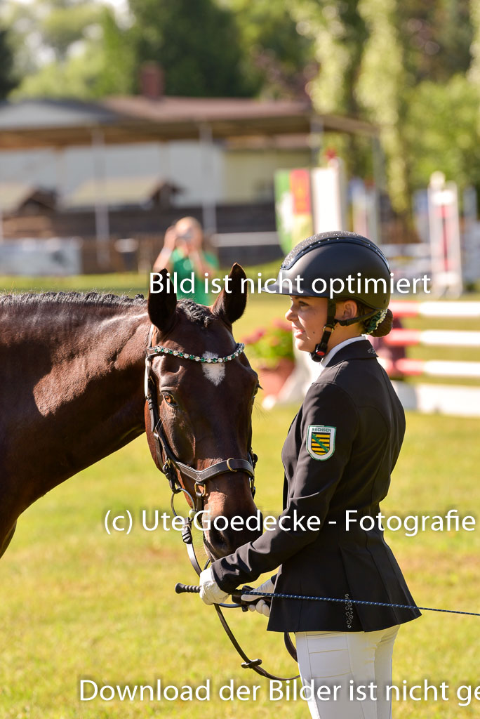 Goldene Schärpe Ponys in Hohenberg Krusemark 2024 | 14072024 Vormustern_247