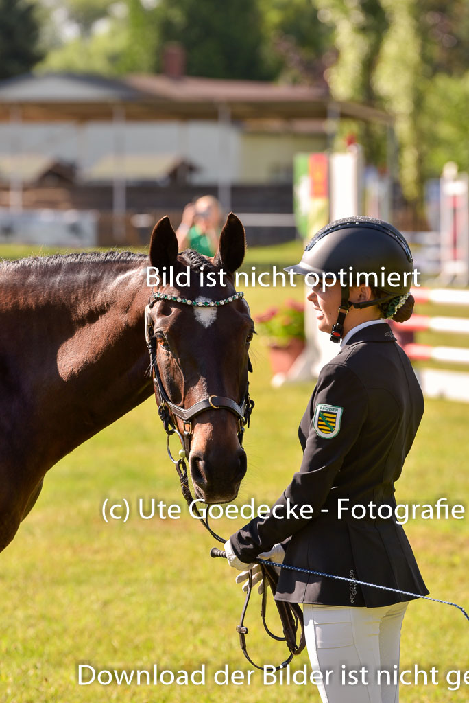 Goldene Schärpe Ponys in Hohenberg Krusemark 2024 | 14072024 Vormustern_248