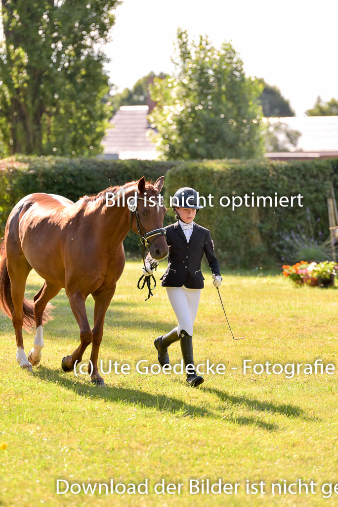 Goldene Schärpe Ponys in Hohenberg Krusemark 2024 | 14072024 Vormustern_252