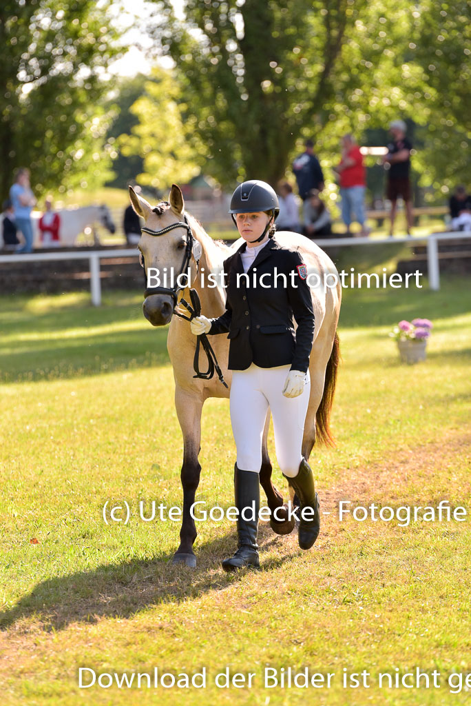 Goldene Schärpe Ponys in Hohenberg Krusemark 2024 | 14072024 Vormustern_254