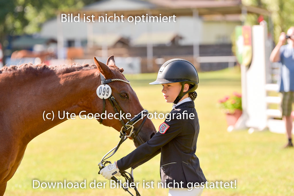 Goldene Schärpe Ponys in Hohenberg Krusemark 2024 | 14072024 Vormustern_256