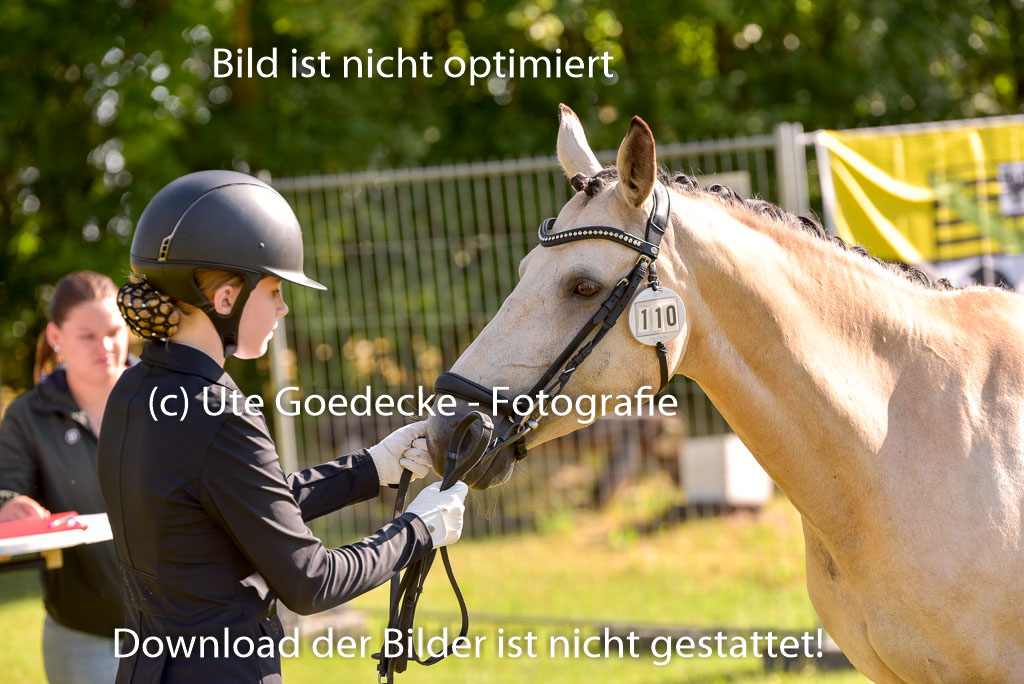 Goldene Schärpe Ponys in Hohenberg Krusemark 2024 | 14072024 Vormustern_257