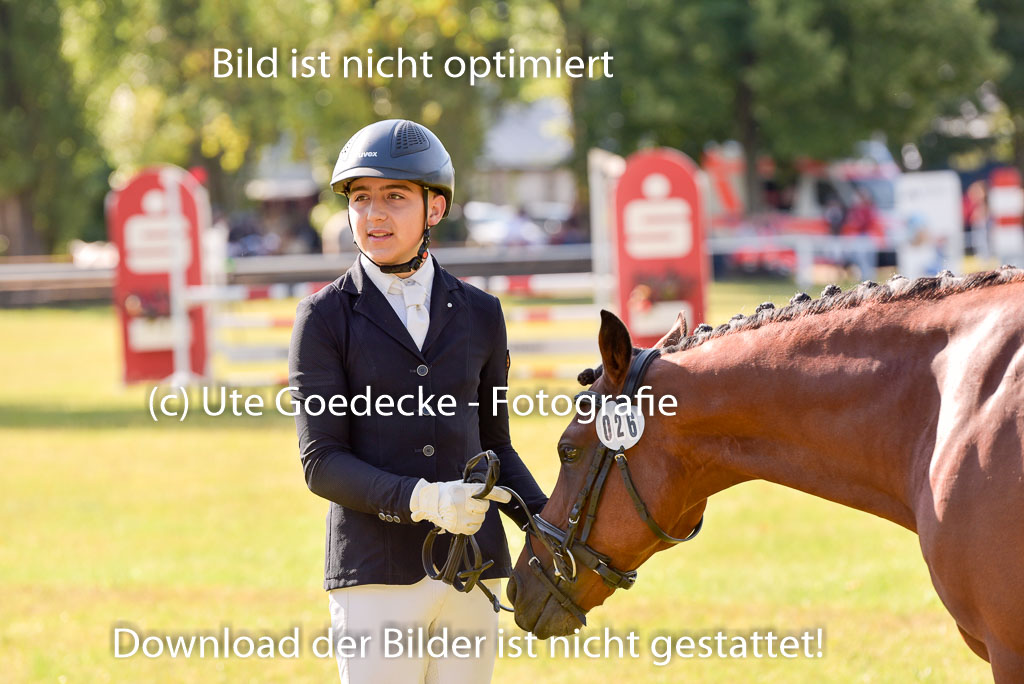Goldene Schärpe Ponys in Hohenberg Krusemark 2024 | 14072024 Vormustern_258