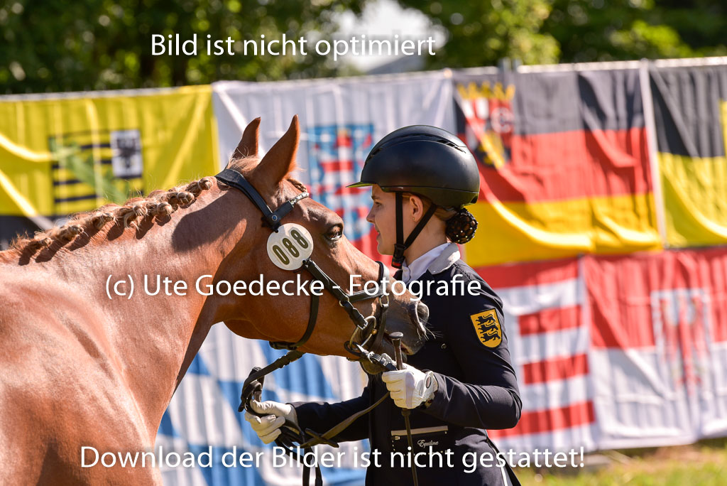 Goldene Schärpe Ponys in Hohenberg Krusemark 2024 | 14072024 Vormustern_259