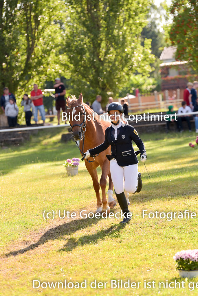 Goldene Schärpe Ponys in Hohenberg Krusemark 2024 | 14072024 Vormustern_261