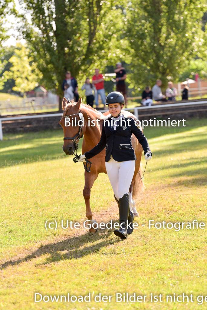 Goldene Schärpe Ponys in Hohenberg Krusemark 2024 | 14072024 Vormustern_262