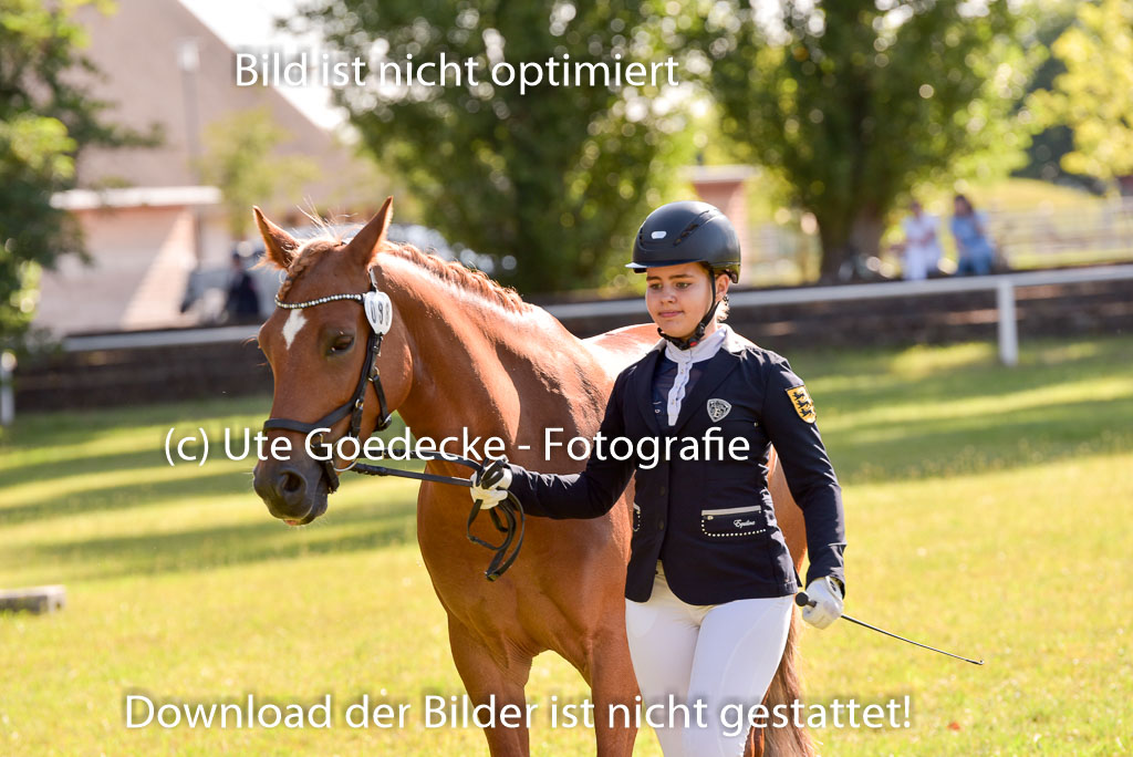 Goldene Schärpe Ponys in Hohenberg Krusemark 2024 | 14072024 Vormustern_263