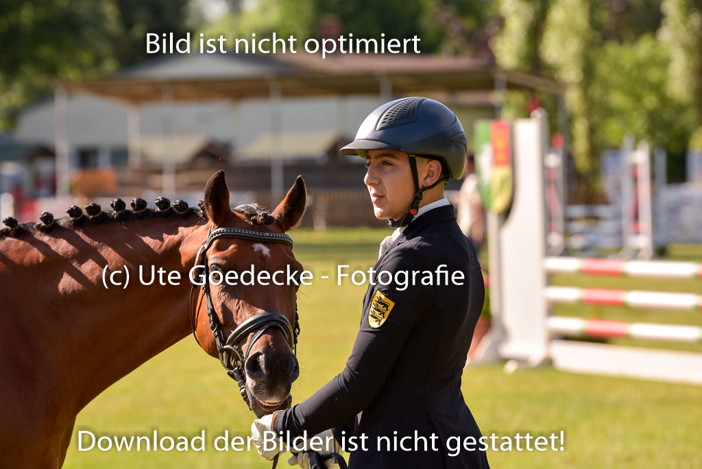 Goldene Schärpe Ponys in Hohenberg Krusemark 2024 | 14072024 Vormustern_265