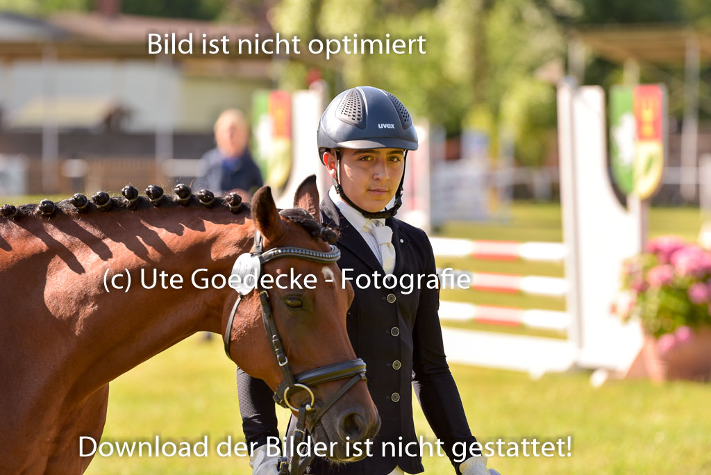 Goldene Schärpe Ponys in Hohenberg Krusemark 2024 | 14072024 Vormustern_266