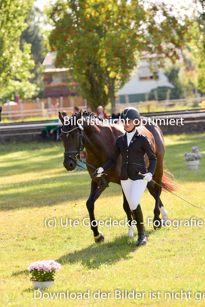 Goldene Schärpe Ponys in Hohenberg Krusemark 2024 | 14072024 Vormustern_271