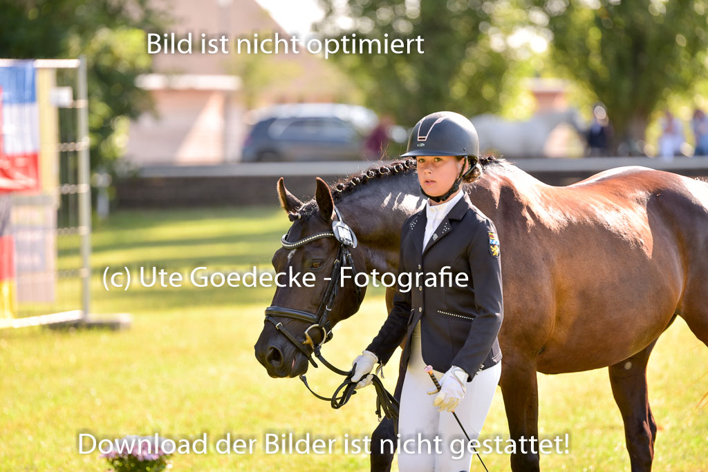 Goldene Schärpe Ponys in Hohenberg Krusemark 2024 | 14072024 Vormustern_272