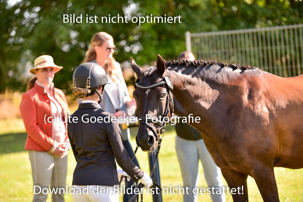 Goldene Schärpe Ponys in Hohenberg Krusemark 2024 | 14072024 Vormustern_273
