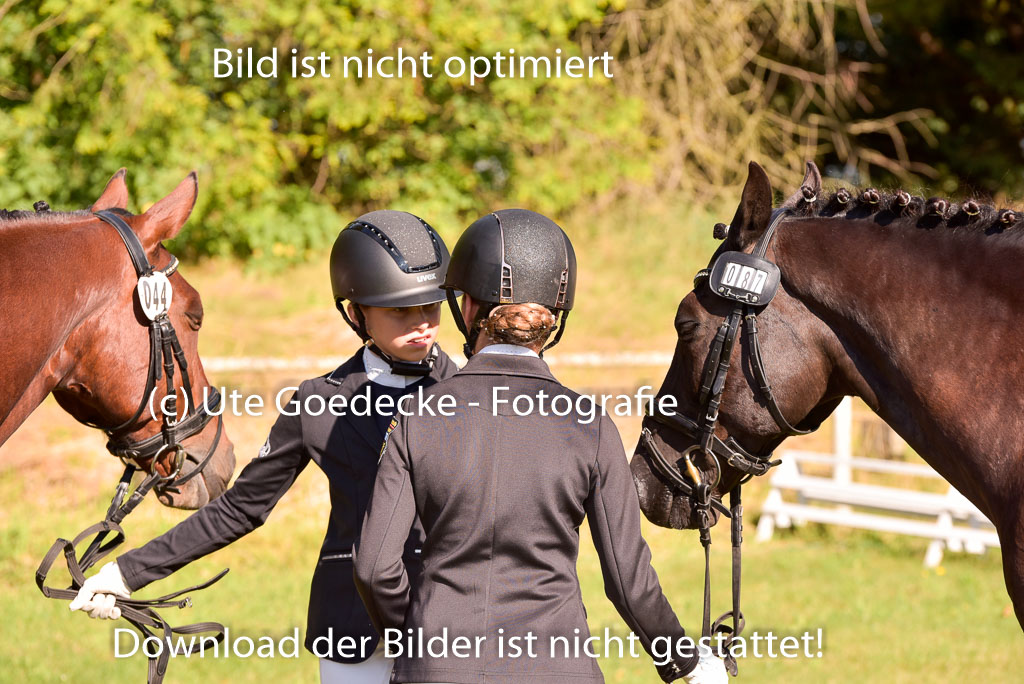 Goldene Schärpe Ponys in Hohenberg Krusemark 2024 | 14072024 Vormustern_274