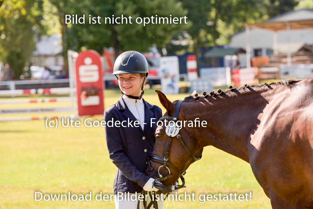 Goldene Schärpe Ponys in Hohenberg Krusemark 2024 | 14072024 Vormustern_276