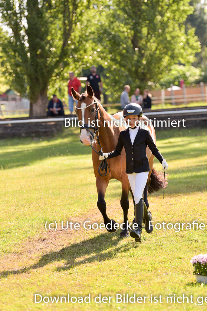 Goldene Schärpe Ponys in Hohenberg Krusemark 2024 | 14072024 Vormustern_279