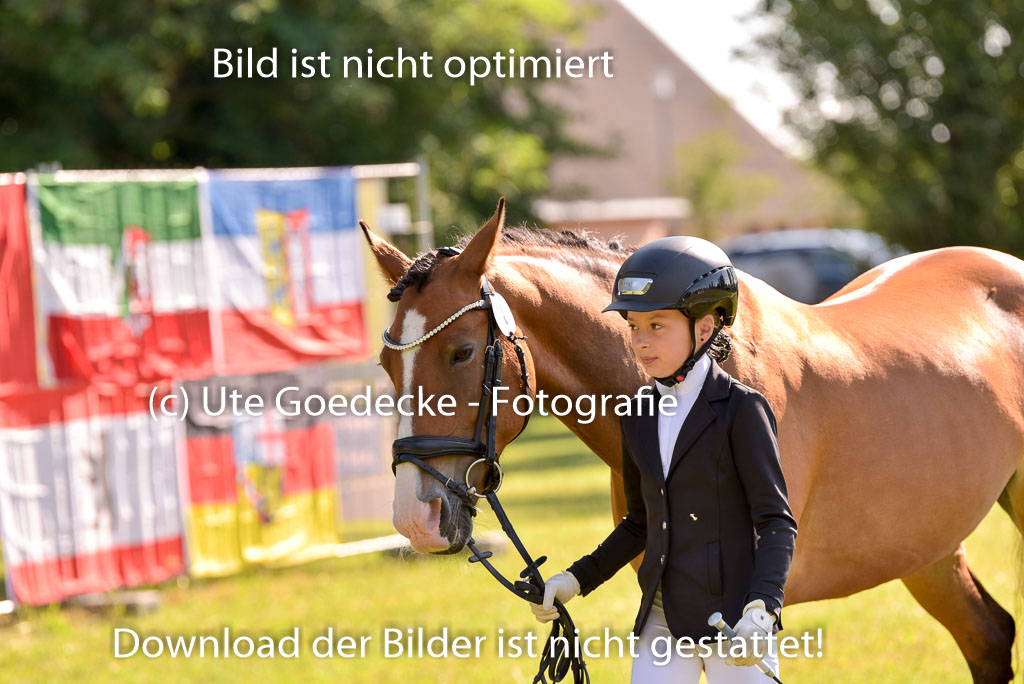 Goldene Schärpe Ponys in Hohenberg Krusemark 2024 | 14072024 Vormustern_281