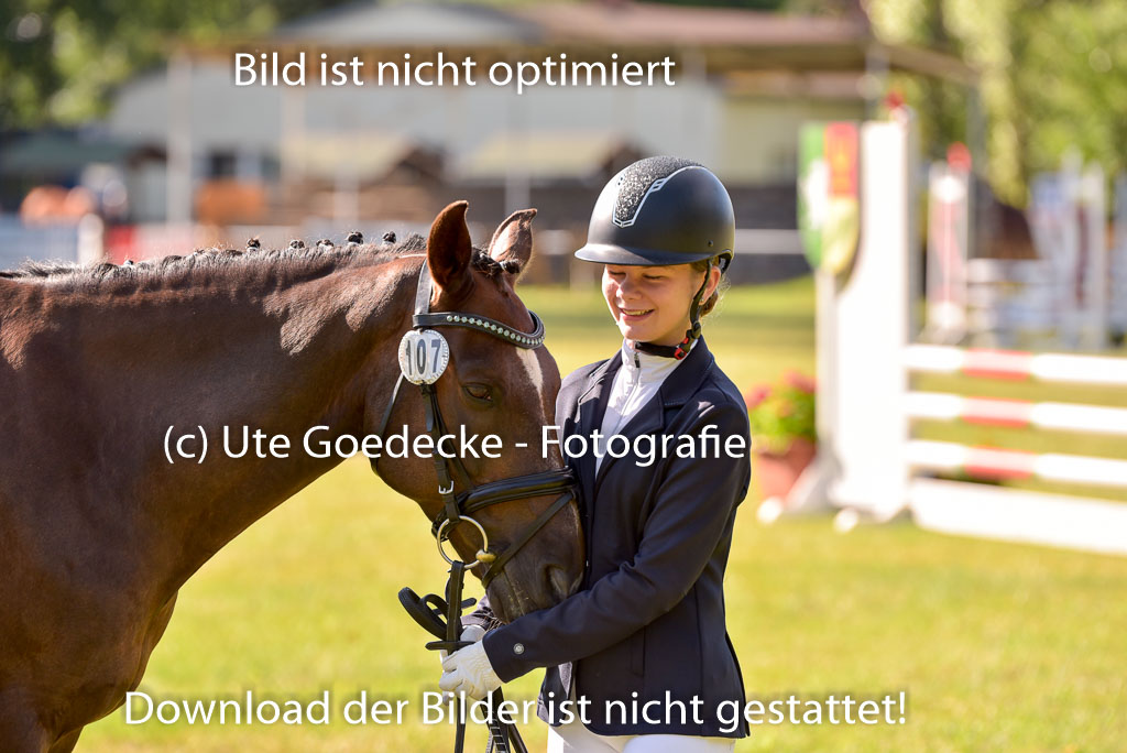 Goldene Schärpe Ponys in Hohenberg Krusemark 2024 | 14072024 Vormustern_282