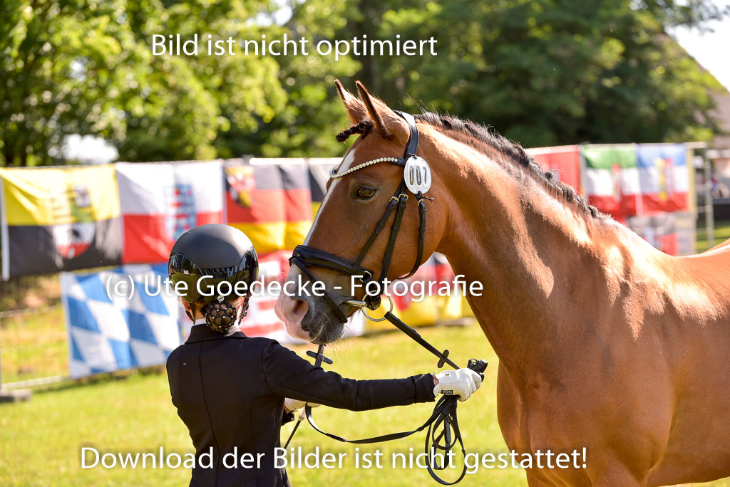 Goldene Schärpe Ponys in Hohenberg Krusemark 2024 | 14072024 Vormustern_283