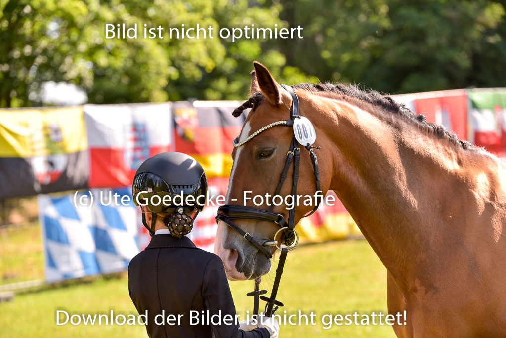 Goldene Schärpe Ponys in Hohenberg Krusemark 2024 | 14072024 Vormustern_284