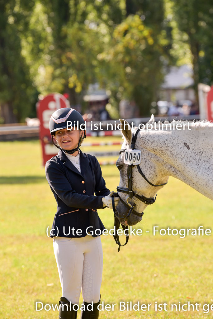 Goldene Schärpe Ponys in Hohenberg Krusemark 2024 | 14072024 Vormustern_286
