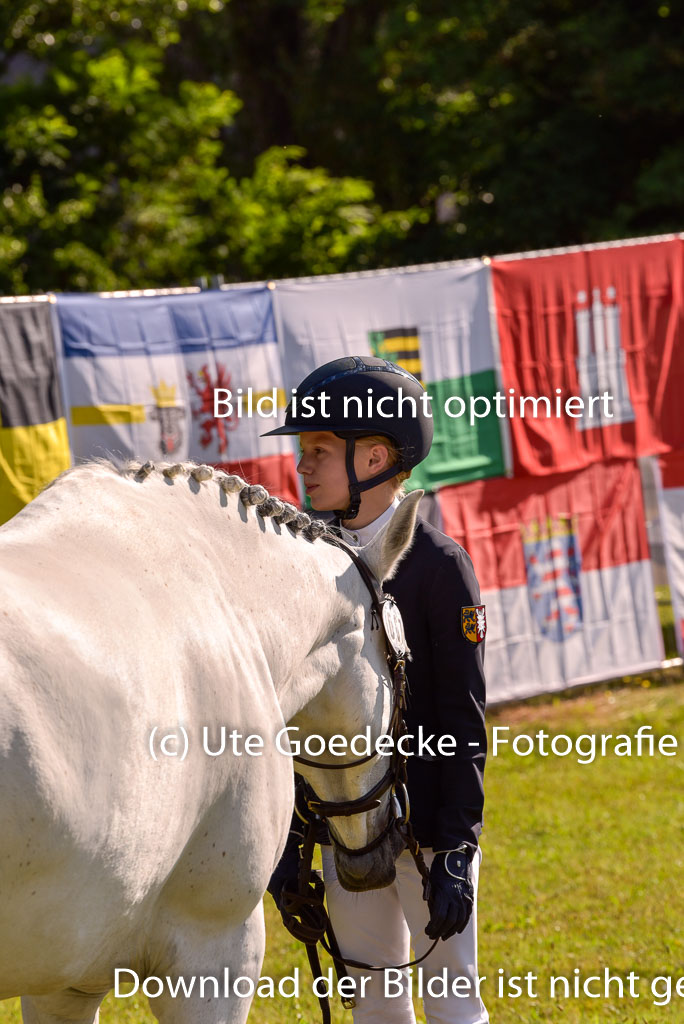 Goldene Schärpe Ponys in Hohenberg Krusemark 2024 | 14072024 Vormustern_287