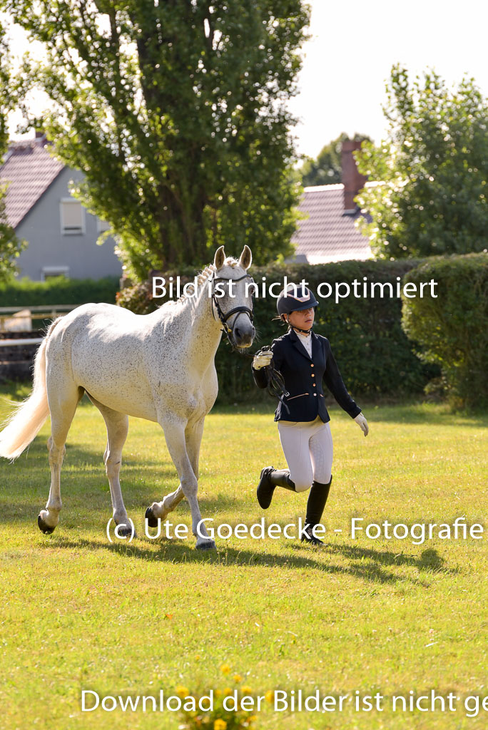 Goldene Schärpe Ponys in Hohenberg Krusemark 2024 | 14072024 Vormustern_288