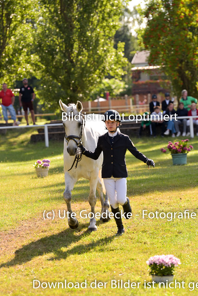 Goldene Schärpe Ponys in Hohenberg Krusemark 2024 | 14072024 Vormustern_289