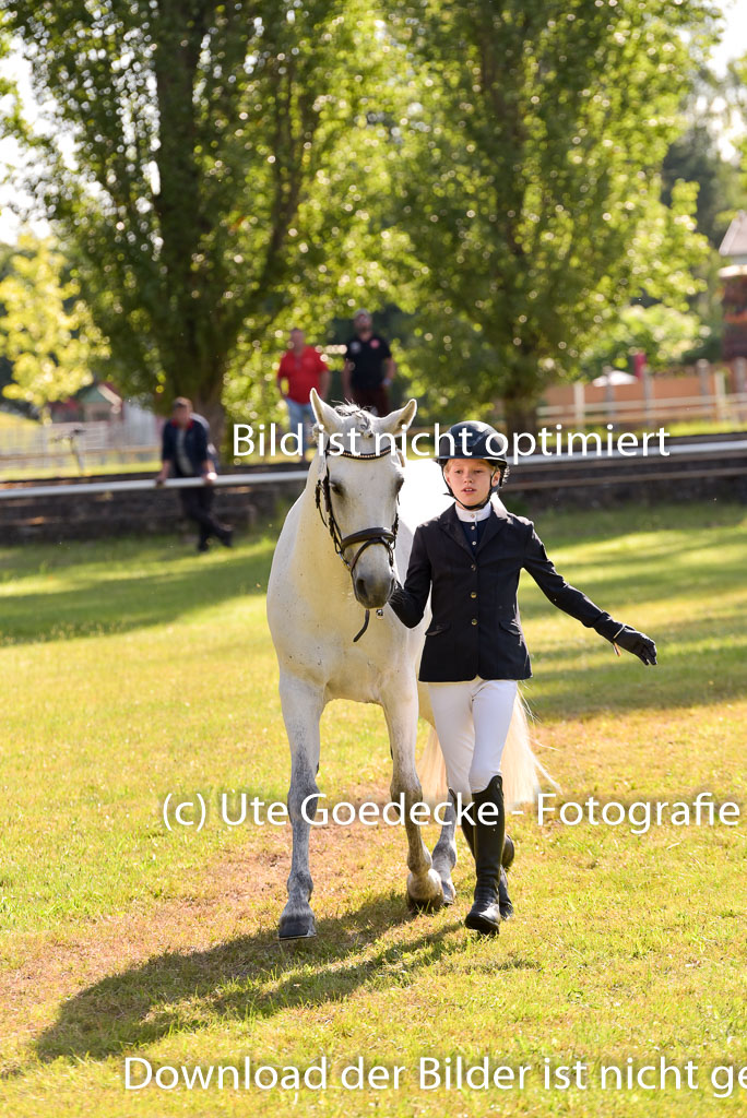 Goldene Schärpe Ponys in Hohenberg Krusemark 2024 | 14072024 Vormustern_290