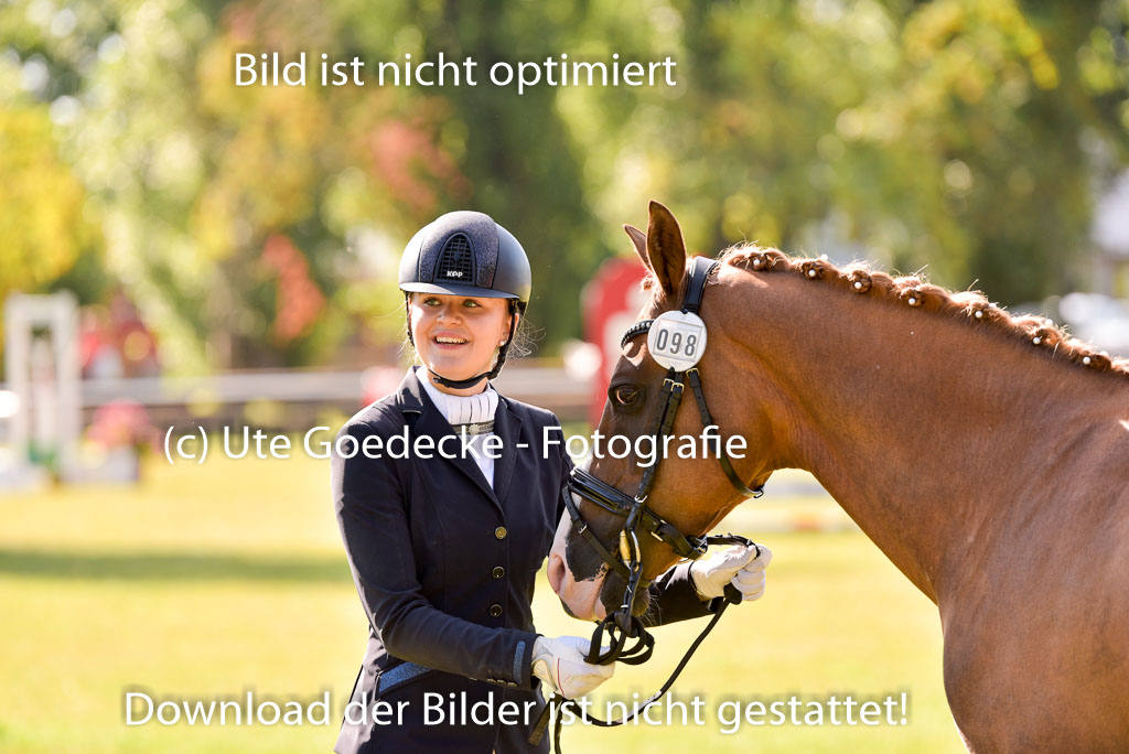 Goldene Schärpe Ponys in Hohenberg Krusemark 2024 | 14072024 Vormustern_292