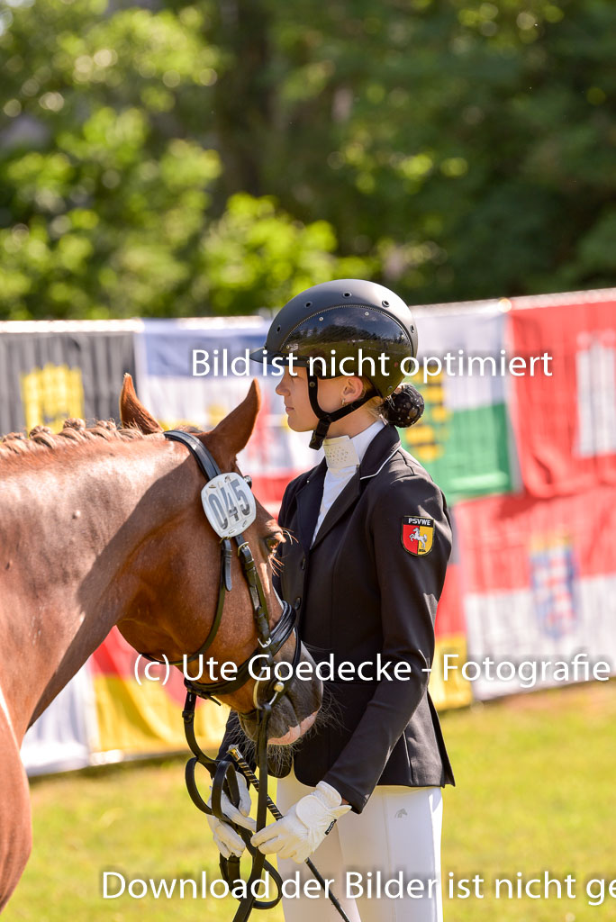 Goldene Schärpe Ponys in Hohenberg Krusemark 2024 | 14072024 Vormustern_293